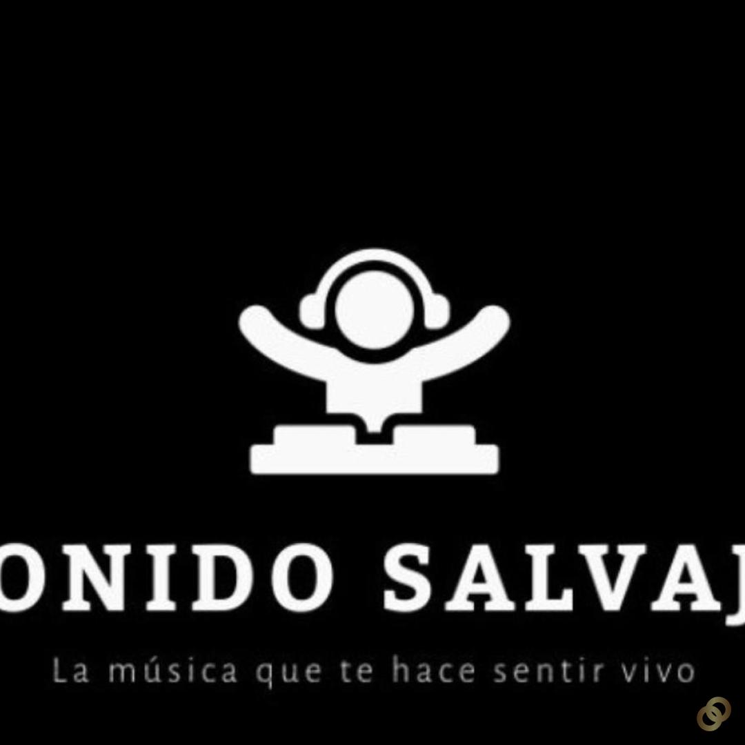 Sonido salvaje  - DJ, Sonido/luces