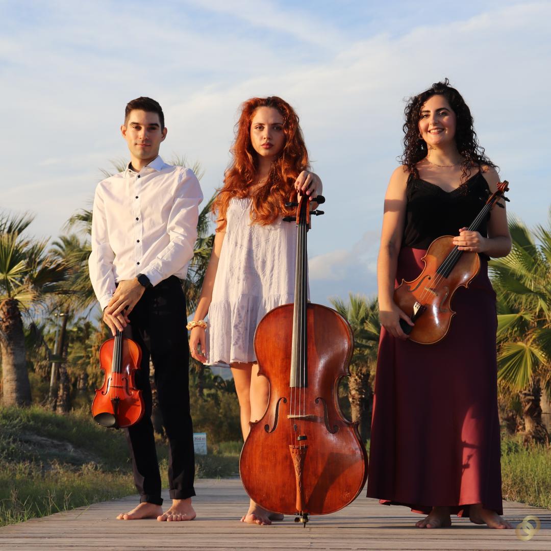 Sènia Ensemble - Grupos Musicales, Instrumentos